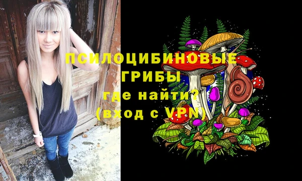 a pvp Богородицк
