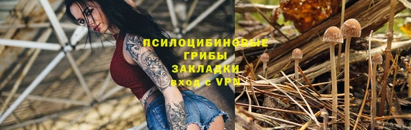 apvp Богородск